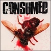 Consumed - Hit For Six (1998)