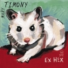 Mary Timony - Ex Hex (2005)