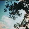 Bibio - Fi (2005)