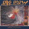 Big Blow & The Bushwhackers - What Didgeridoo (1994)