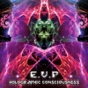 EVP - Holographic Conciousness (2008)