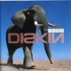 China Drum - Diskin (2000)