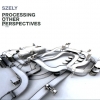 Peter Szely - Processing Other Perspectives (2007)