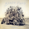 Bardo Pond - Lapsed (1997)