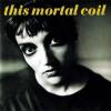 This Mortal Coil - Blood (1991)