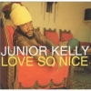 Junior Kelly - Love So Nice (2001)