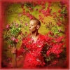 Gail Ann Dorsey - I Used To Be... (2004)