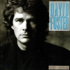 David Foster - River Of Love (1990)