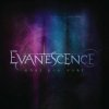 Evanescence - What You Want (Single)