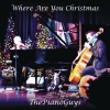 The Piano Guys - Where Are You Christmas