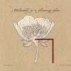 Zai Kuning - Melancholy Of A Flowering Plant (2007)
