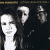 The Tunicates - Down From The Wall (1989)