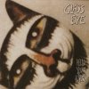 Glass Eye - Hello Young Lovers (1989)