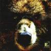 Element Eighty - The Bear