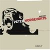 Peter Horrevorts - Evolver (2007)