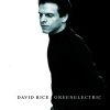 David Rice - greenelectric (1997)