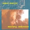 Adrian Borland - Beautiful Ammunition (1994)