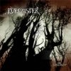 Evemaster - Wither (2003)