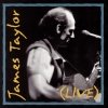 James Taylor - James Taylor Live (1993)