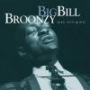 Big Bill Broonzy - Warm, Witty, & Wise (Mojo Workin': Blues For The Next Generation) (1998)