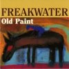 Freakwater - Old Paint (1995)