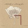 Koichi Shimizu - Melancholy Of A Flowering Plant (2007)