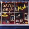 David Gray - Flesh (1994)