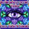 Space Tribe and Sirius Isness - Kaleidescopic Vision (2007)