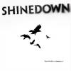 Shinedown - The Sound Of Madness (2010)