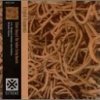 Elliott Sharp / Soldier String Quartet - Cryptid Fragments (1993)