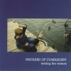 Orchard Of Comradery - Testing The Waters (2007)