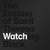 The Ecstasy of Saint Theresa - Watching Black (2006)