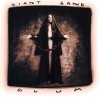 Giant Sand - Glum (1994)