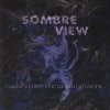Sombre View - I Want To See The World Go Under (2001)