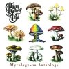 The Allman Brothers Band - Mycology: an Anthology (1998)