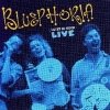 Bluephoria - Loves So Good (Live) (2000)