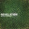 Michael Harrison - Revelation (2007)