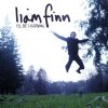 Liam Finn - I'll Be Lightning (2007)