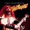 Ted Nugent - The Ultimate Ted Nugent (2002)