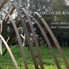 Denis Tricot - Orgue De Bois (2008)