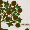 Castanets - Cathedral (2004)