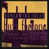 Screaming Trees - Buzz Factory