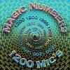 1200 Mics - Magic Numbers (2007)