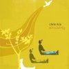 Rice Chris - Amusing (2005)