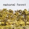 National Forest - National Forest (2003)