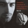 Little Pigeon's ForHill Blues - Mr. B. (2007)