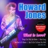 Howard Jones - What Is Love? (2003)