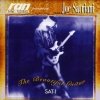 Joe Satriani - The Beautiful Guitar (1993)