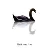 Black Swan Lane - A Long Way From Home (2007)