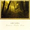Arcana - Inner Pale Sun (2002)